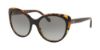 Picture of Coach Sunglasses HC8260