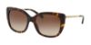 Picture of Coach Sunglasses HC8246