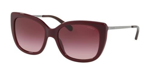 Picture of Coach Sunglasses HC8246