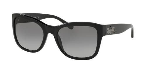Picture of Coach Sunglasses HC8243
