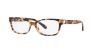 Picture of Coach Eyeglasses HC6119