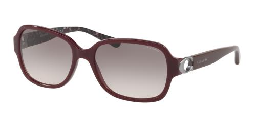 Picture of Coach Sunglasses HC8241