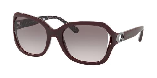 Picture of Coach Sunglasses HC8238