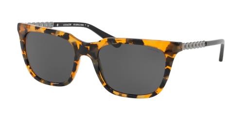 Picture of Coach Sunglasses HC8236