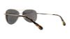 Picture of Coach Sunglasses HC7079