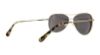 Picture of Coach Sunglasses HC7079