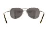 Picture of Coach Sunglasses HC7079