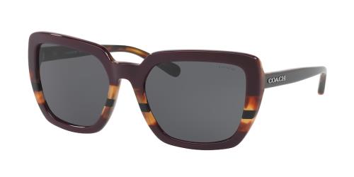 Picture of Coach Sunglasses HC8217