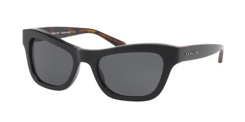 Picture of Coach Sunglasses HC8223
