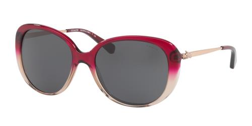 Picture of Coach Sunglasses HC8215