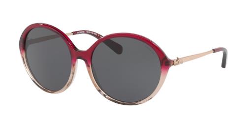 Picture of Coach Sunglasses HC8214