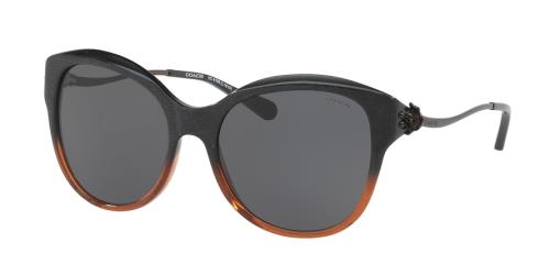 Picture of Coach Sunglasses HC8189