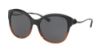 Picture of Coach Sunglasses HC8189