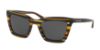 Picture of Coach Sunglasses HC8203 L1630