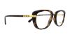 Picture of Coach Eyeglasses HC6106B
