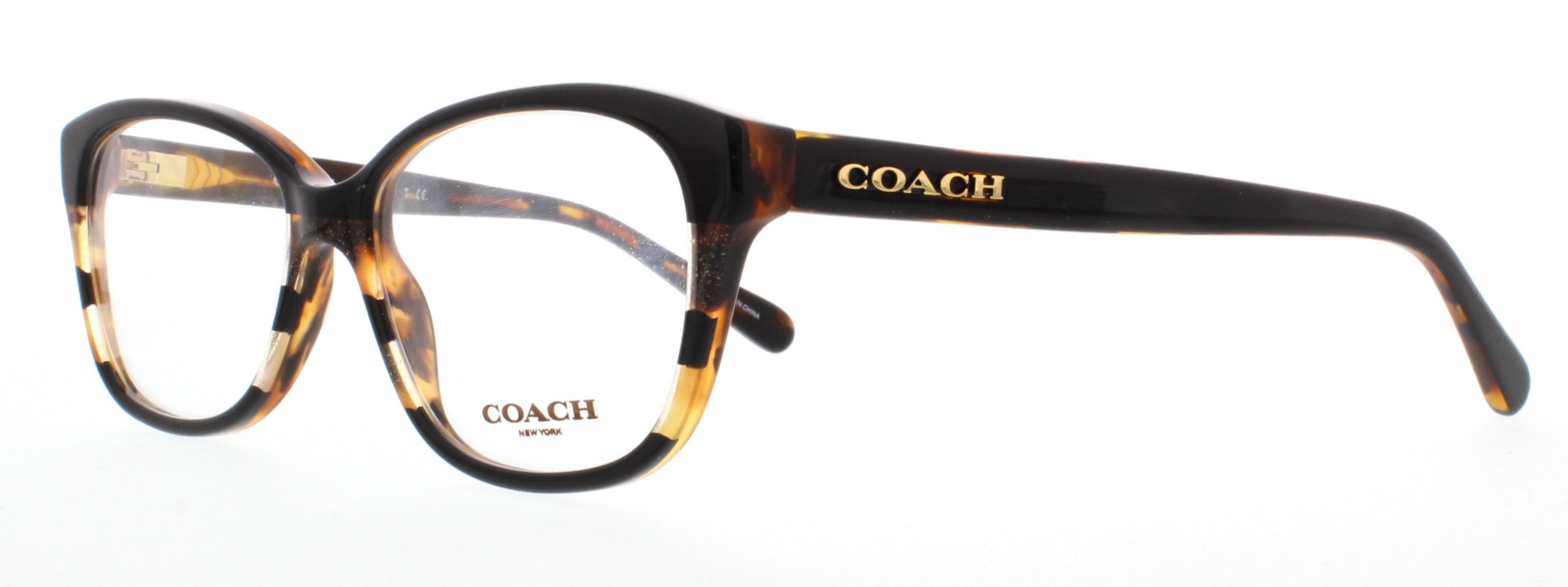 Picture of Coach Eyeglasses HC6103