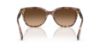 Picture of Coach Sunglasses HC8132 L109
