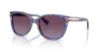 Picture of Coach Sunglasses HC8132 L109
