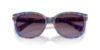 Picture of Coach Sunglasses HC8132 L109