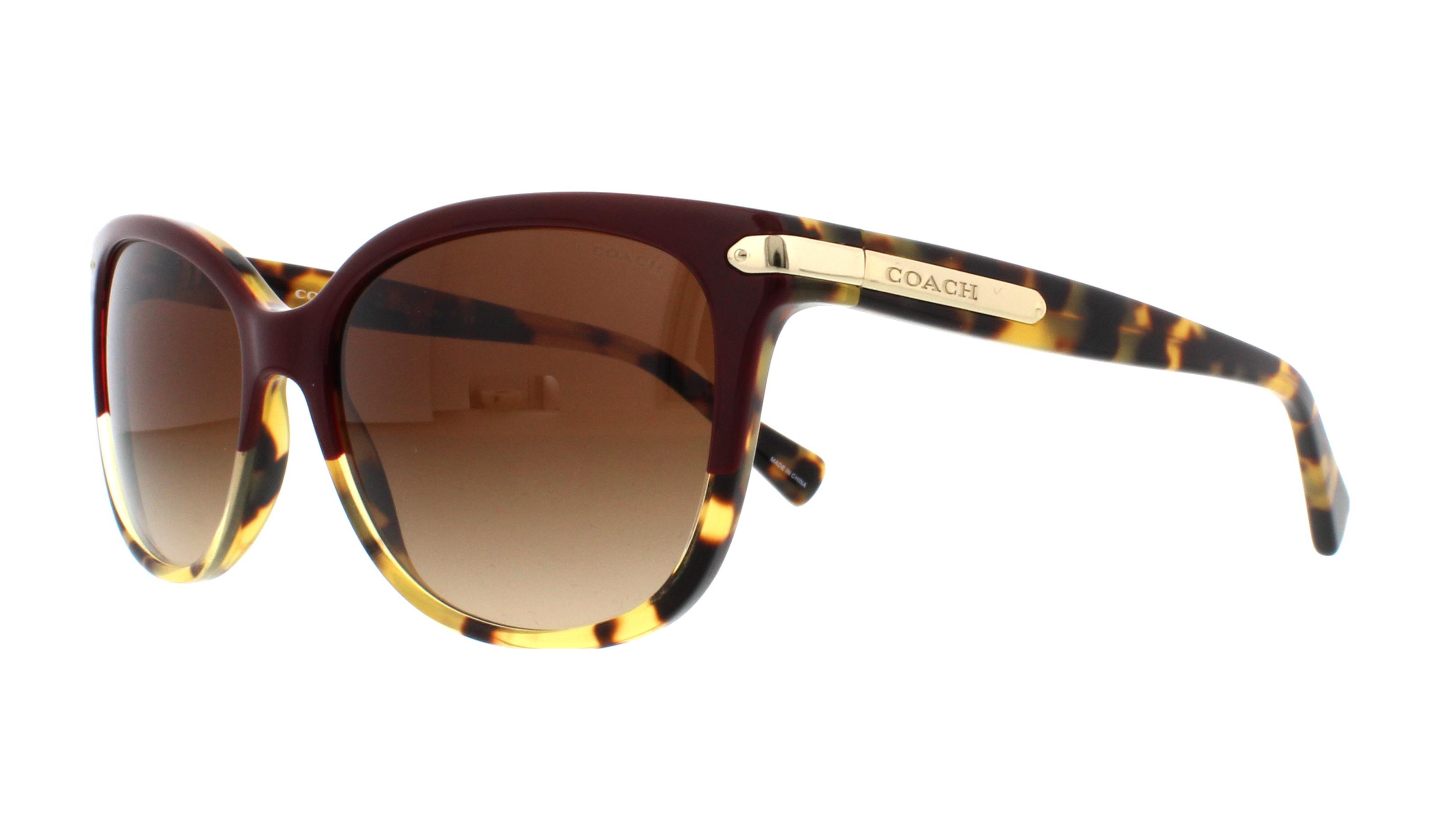 Picture of Coach Sunglasses HC8132 L109