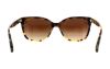 Picture of Coach Sunglasses HC8132 L109
