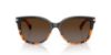 Picture of Coach Sunglasses HC8132 L109