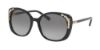 Picture of Coach Sunglasses HC8186B L1595