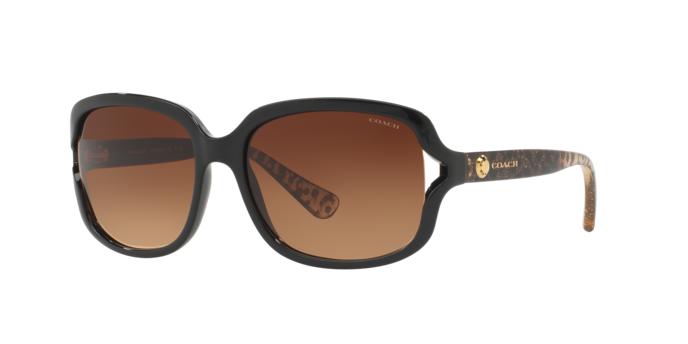 Picture of Coach Sunglasses HC8169 L149