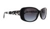 Picture of Coach Sunglasses HC8168 L156