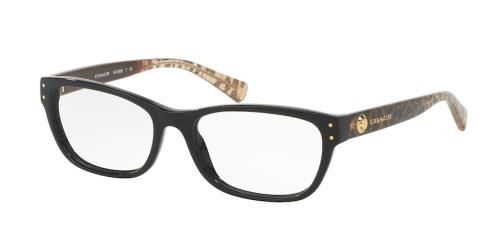 Picture of Coach Eyeglasses HC6082