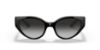 Picture of Dolce & Gabbana Sunglasses DG6146