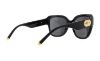 Picture of Dolce & Gabbana Sunglasses DG6118