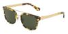 Picture of Dolce & Gabbana Sunglasses DG2175