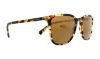 Picture of Dolce & Gabbana Sunglasses DG4301
