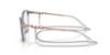 Picture of Vogue Eyeglasses VO5461