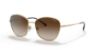 Picture of Vogue Sunglasses VO4232S