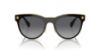 Picture of Versace Sunglasses VE2198