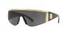 Picture of Versace Sunglasses VE2197