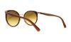 Picture of Versace Sunglasses VE2185