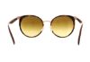 Picture of Versace Sunglasses VE2185