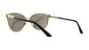 Picture of Versace Sunglasses VE2168