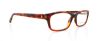 Picture of Polo Eyeglasses PH2091