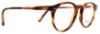 Picture of Polo Eyeglasses PH2083