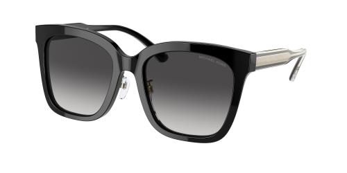 Picture of Michael Kors Sunglasses MK2163F