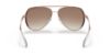 Picture of Michael Kors Sunglasses MK1101B