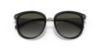 Picture of Michael Kors Sunglasses MK1099B