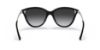 Picture of Michael Kors Sunglasses MK2139U