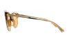 Picture of Michael Kors Sunglasses MK1038