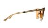 Picture of Michael Kors Sunglasses MK1038