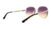 Picture of Michael Kors Sunglasses MK1037